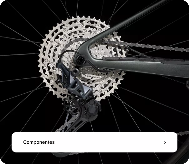 Componentes