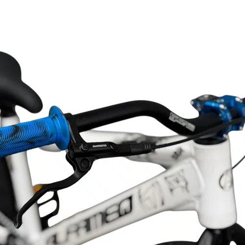 BICICLETA ALFAMEQ FURIA 244 BRANCA SINGLE WHEELING/GRAU