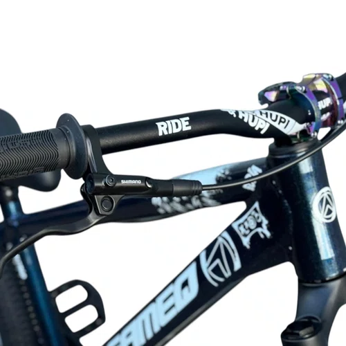 BICICLETA ALFAMEQ FURIA 244 CAMALEÃO SINGLE WHEELING/GRAU