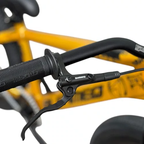 BICICLETA ALFAMEQ FURIA 244 DOURADA SINGLE WHEELING/GRAU