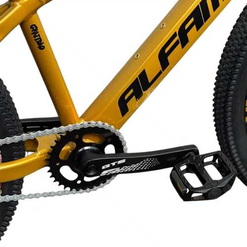 BICICLETA ALFAMEQ FURIA 244 DOURADA SINGLE WHEELING/GRAU
