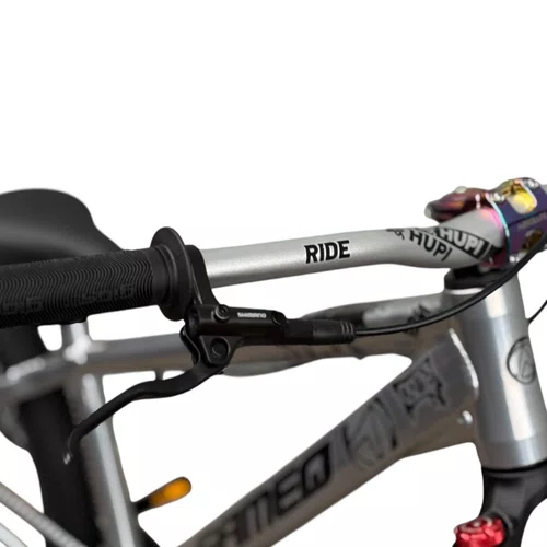 BICICLETA ALFAMEQ FURIA 244 PRATA SINGLE WHEELING/GRAU