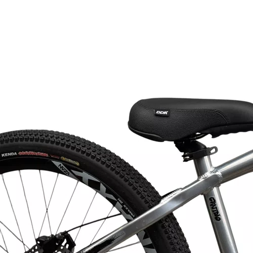 BICICLETA ALFAMEQ FURIA 244 PRATA SINGLE WHEELING/GRAU