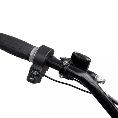 BICICLETA ELETRICA OFFROAD E-DIRT BIKE TWOFISH TW01 2000W