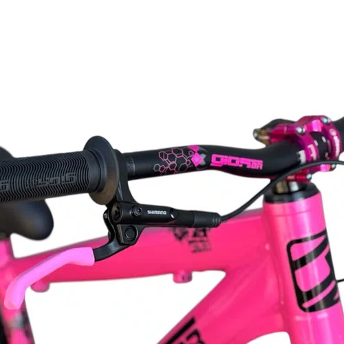 BICICLETA GIOS 4TRIX ROSA 26 SINGLE SPEED WHEELING/GRAU