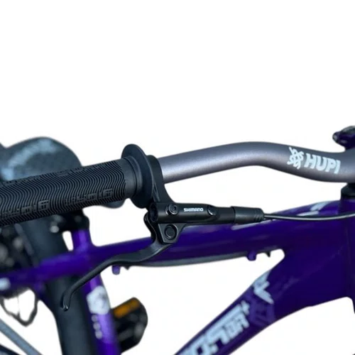 BICICLETA GIOS FRS ROXA 26 SINGLE WHEELING/GRAU/DJ