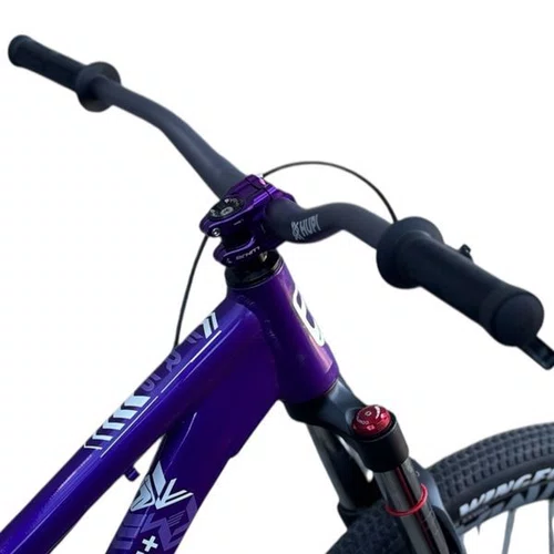 BICICLETA GIOS FRS ROXA 26 SINGLE WHEELING/GRAU/DJ