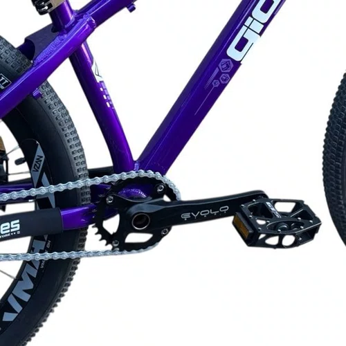 BICICLETA GIOS FRS ROXA 26 SINGLE WHEELING/GRAU/DJ