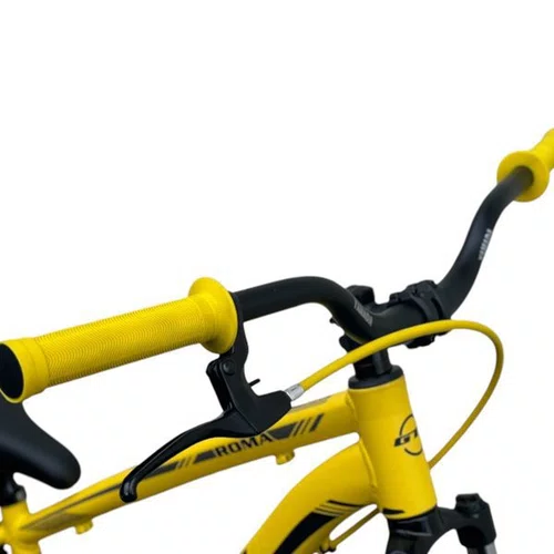 BICICLETA GRAU/WHEELING GTI ROMA ARO 29 FREIO A DISCO AMAREL
