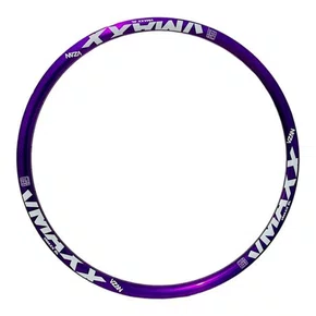 ARO VZAN VMAXX SL DISC 26X36F COLORIDO ROXO