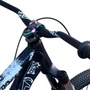 BICICLETA ALFAMEQ FURIA 244 CAMALEÃO SINGLE WHEELING/GRAU
