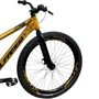 BICICLETA ALFAMEQ FURIA 244 DOURADA SINGLE WHEELING/GRAU