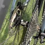 BICICLETA SENSE IMPACT CARBON EVO CINZA/VERDE 2020 TAM L 